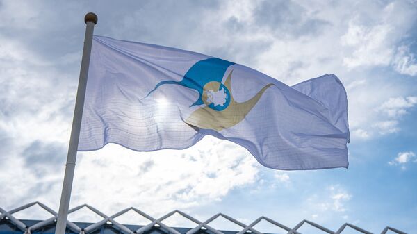 Флаг с символикой Евразийского экономического союза (ЕАЭС) - Sputnik Тоҷикистон