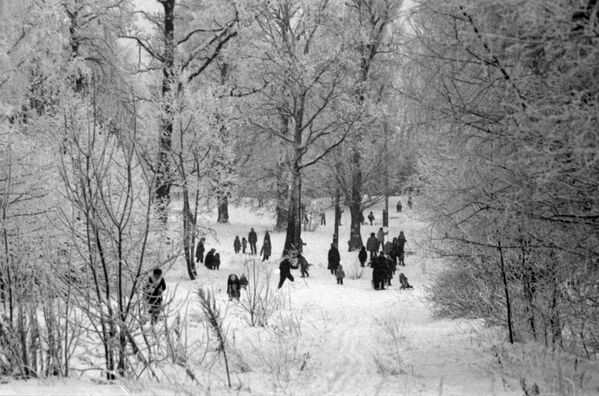 Жители московского микрорайона Ясенево на прогулке в зимнем парке - Sputnik Таджикистан