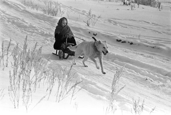 Собака везет девочку на санках, 1971 год - Sputnik Таджикистан