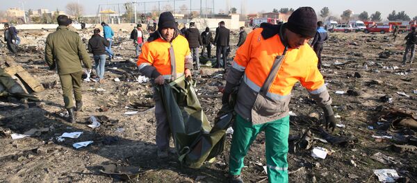 Спасатели на месте крушения самолета в Иране - Sputnik Таджикистан