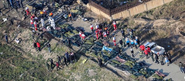 На месте крушения самолета в Иране - Sputnik Тоҷикистон