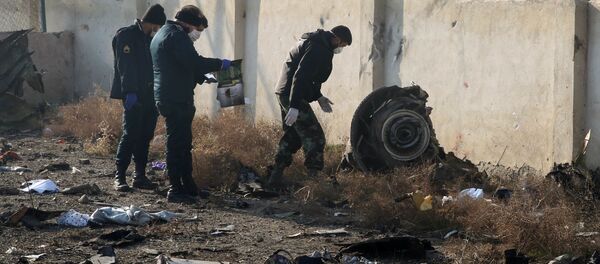 Спасатели на месте крушения самолета в Иране Спасатели на месте крушения самолета в Иране - Sputnik Таджикистан