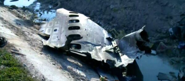 На месте крушения украинского лайнера в Иране работают спасатели: никто не выжил - Sputnik Таджикистан