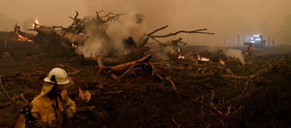 Тушение лесных пожаров в Австралии Тушение лесных пожаров в Австралии - Sputnik Таджикистан