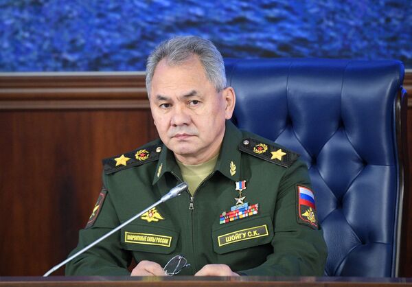 Министр обороны РФ, генерал армии Сергей Шойгу - Sputnik Таджикистан