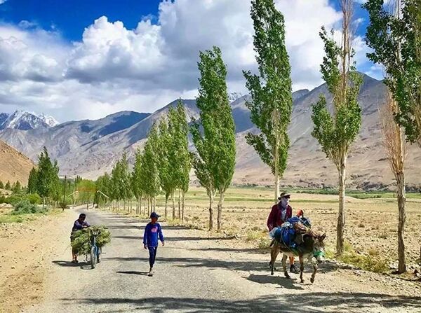 Ба саёҳати дунё бо дучарха ва саг - Sputnik Тоҷикистон