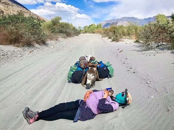 Ба саёҳати дунё бо дучарха ва саг - Sputnik Тоҷикистон