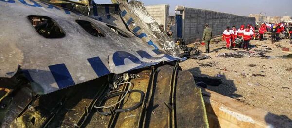 Украинский пассажирский самолет потерпел крушение в Иране - Sputnik Таджикистан