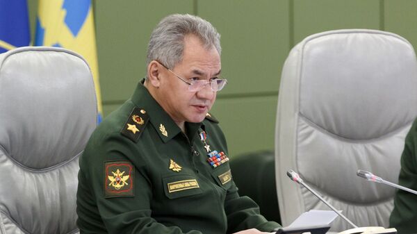 Министр обороны РФ С. Шойгу - Sputnik Таджикистан