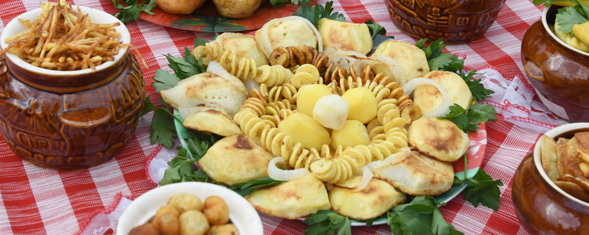 Блюда из картофеля на празднике молодой картошки - Sputnik Таджикистан, 1920, 14.04.2026