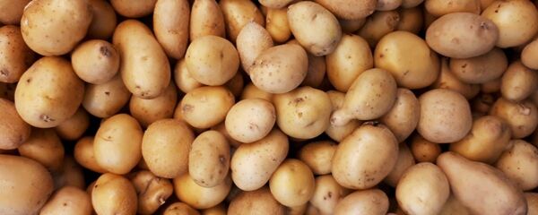 Картофель - Sputnik Тоҷикистон