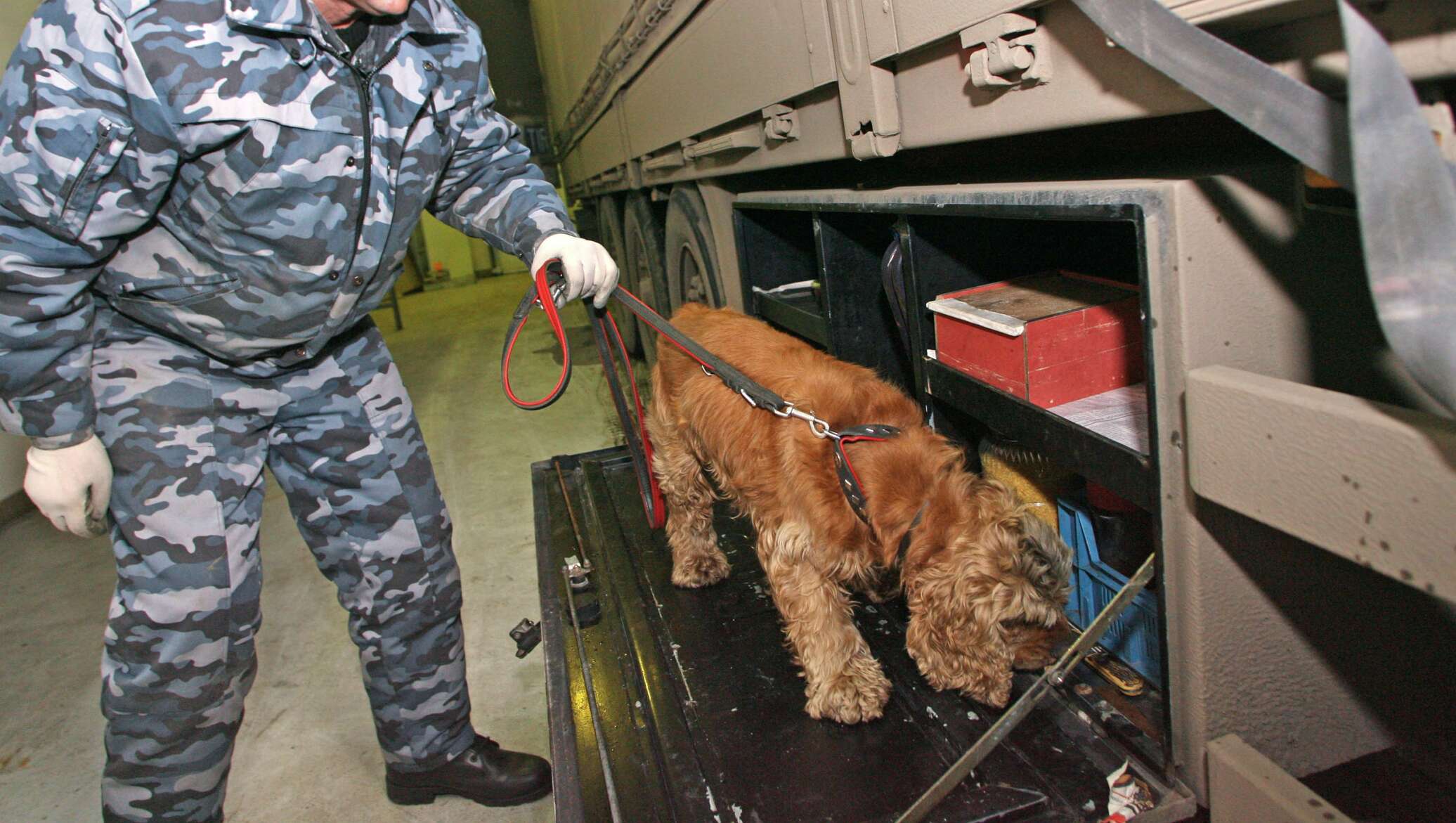 изъятие контрабанды. пограничный контроль мапп адлер. таможенный досмотр в аэропорту. таможенный досмотр багажа. как обыскивают на границе.