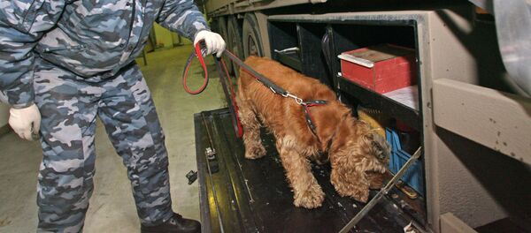 Досмотр большегрузного автомобиля на границе - Sputnik Тоҷикистон