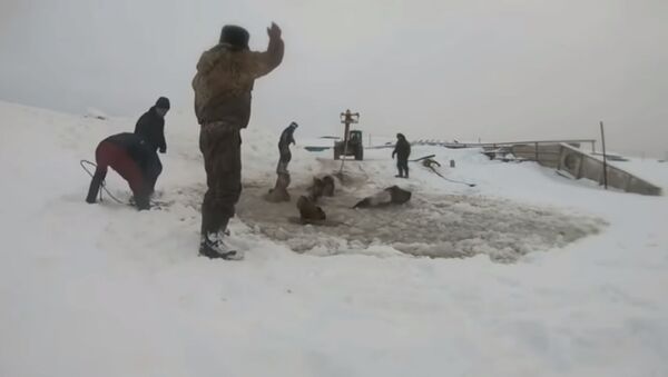 Захватывающее дух спасание лошадей из ледяной ловушки сняли на видео - Sputnik Таджикистан