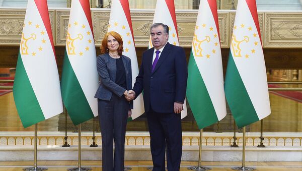 Рахмон принял вице-президента Международной финансовой корпорации г-жу Джорджину Бейкер - Sputnik Таджикистан