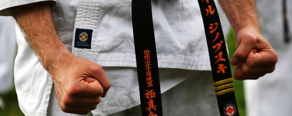 Мастер восточных единоборств в стойке  - Sputnik Тоҷикистон