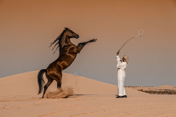 Снимок Horse Motion саудовского фотографа Abbas Alkhamis, победивший в номинации National Awards (Саудовская Аравия)  конкурса 2020 Sony World Photography Awards - Sputnik Таджикистан