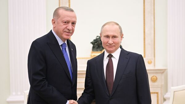 Президент РФ В. Путин встретился с президентом Турции Р. Эрдоганом   - Sputnik Тоҷикистон