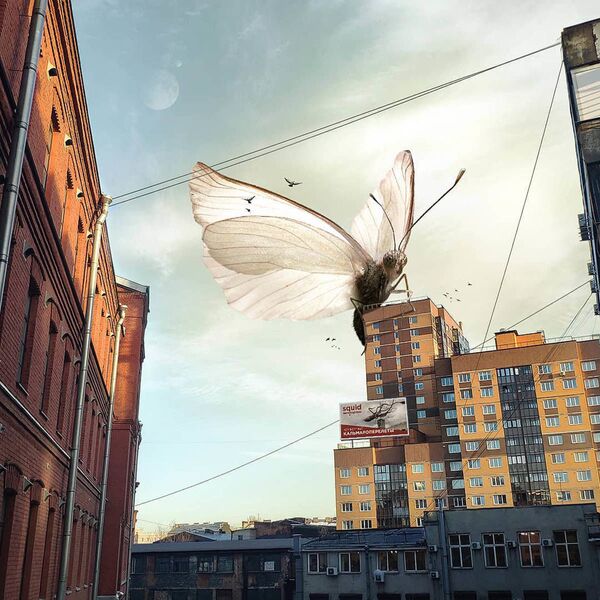Бабочка на здании в Санкт-Петербурге в работе художника Вадима Соловьева - Sputnik Таджикистан