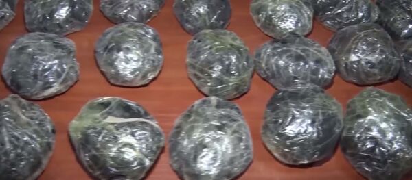 В Таджикистане задержали наркоторговцев опиумом  - Sputnik Тоҷикистон