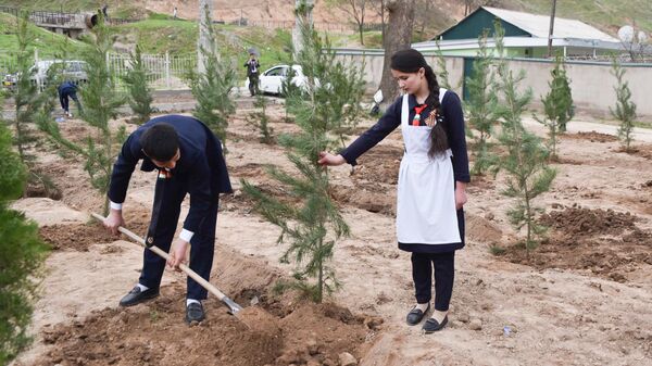 Акция Сад памяти в поселке Каратаг  - Sputnik Таджикистан