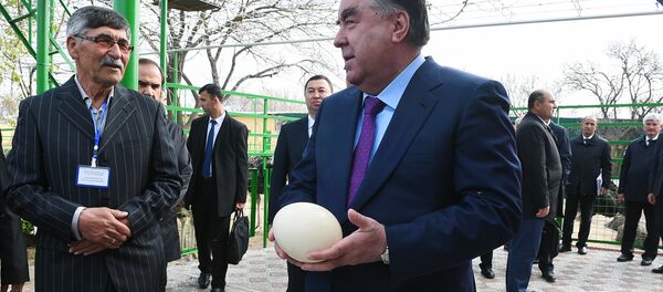 Президент Республики Таджикистан Эмомали Рахмон Президент Республики Таджикистан Эмомали Рахмон - Sputnik Тоҷикистон