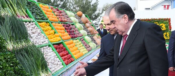 Эмомали Рахмон ввод в эксплуатацию предприятия по переработке овощей и фруктов ООО Худжанд-Агро Эмомали Рахмон ввод в эксплуатацию предприятия по переработке овощей и фруктов ООО Худжанд-Агро - Sputnik Таджикистан