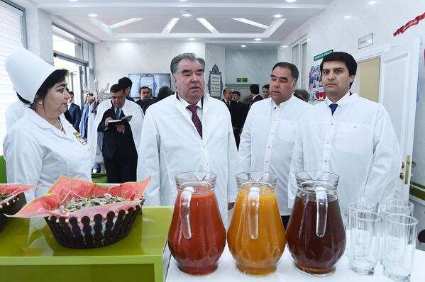 Эмомали Рахмон ввод в эксплуатацию предприятия по переработке овощей и фруктов ООО Худжанд-Агро - Sputnik Таджикистан