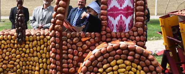 Праздник мёда, хлеба и картофеля в г. Худжанд Праздник мёда, хлеба и картофеля в г. Худжанд - Sputnik Тоҷикистон