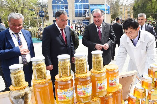 Эмомали Рахмон принял участие в празднике мёда, хлеба и картофеля в г. Худжанд Согдийской области - Sputnik Таджикистан