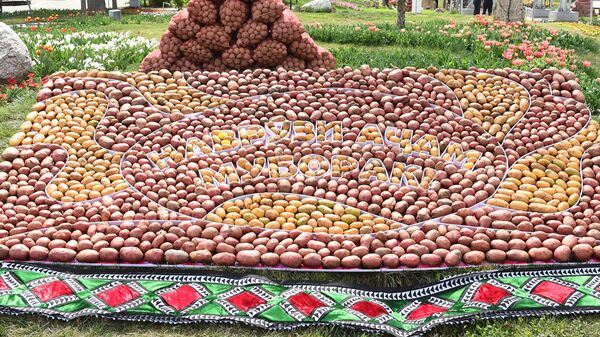 Праздник мёда, хлеба и картофеля в г. Худжанд Согдийской области - Sputnik Тоҷикистон