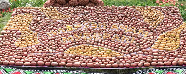 Праздник мёда, хлеба и картофеля в г. Худжанд Согдийской области - Sputnik Тоҷикистон