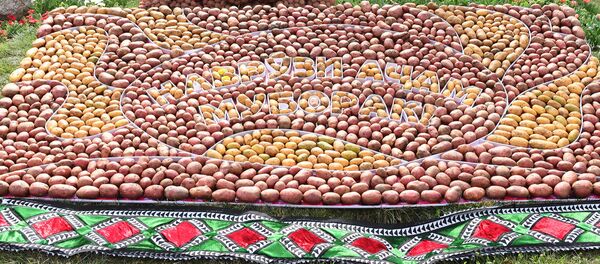 Праздник мёда, хлеба и картофеля в г. Худжанд Согдийской области - Sputnik Тоҷикистон