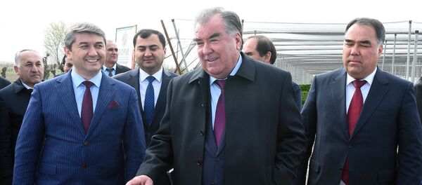 Эмомалӣ Раҳмон, раисиҷумҳури Тоҷикистон, аз боғи суперинтенсивӣ дар ноҳияи Спитамен боздид кардааст, ки ба иттилои котиботаш нахустин чунин таҷрибаи боғдорӣ дар кишвар мебошад - Sputnik Тоҷикистон