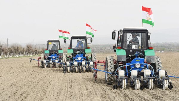 Боғкорӣ дар ноҳияи Спитамен - Sputnik Тоҷикистон