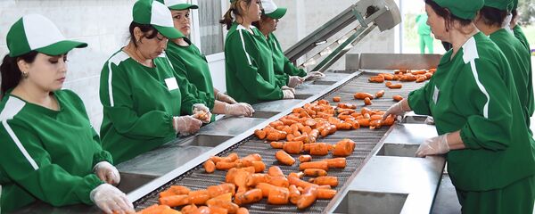 Сотрудницы предприятия по переработке плодовоовощной продукции - Sputnik Тоҷикистон