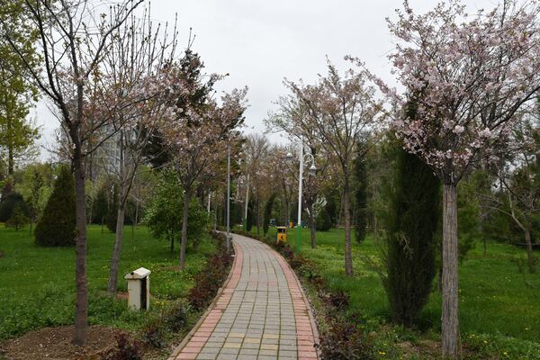 Прогуливаться по парку весной в Душанбе одно удовольствие - Sputnik Таджикистан