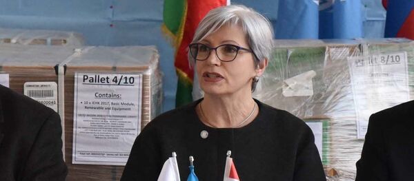 Представитель ВОЗ в Таджикистане Галина Перфильева - Sputnik Таджикистан