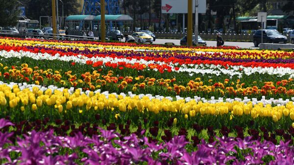 Цветы в городе Душанбе - Sputnik Таджикистан
