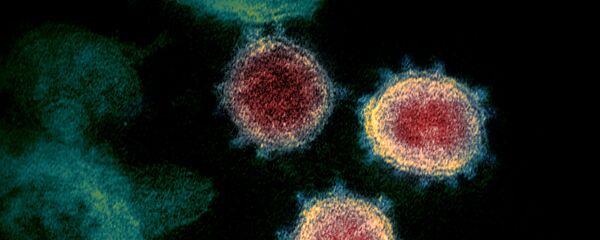 Коронавирус под микроскопом  - Sputnik Таджикистан