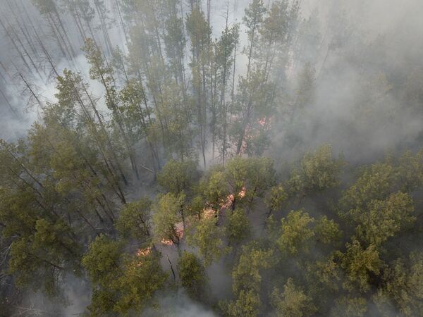 Лесной пожар в Чернобыльской зоне - Sputnik Таджикистан