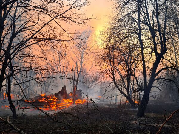 Лесной пожар в Чернобыльской зоне  - Sputnik Таджикистан