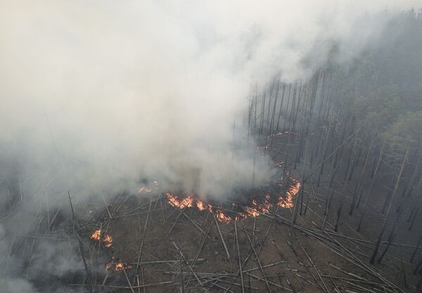 Лесной пожар в Чернобыльской зоне - Sputnik Таджикистан