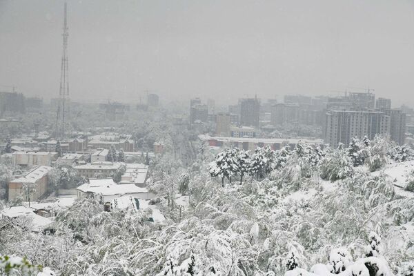 Снегопад в Душанбе - Sputnik Таджикистан