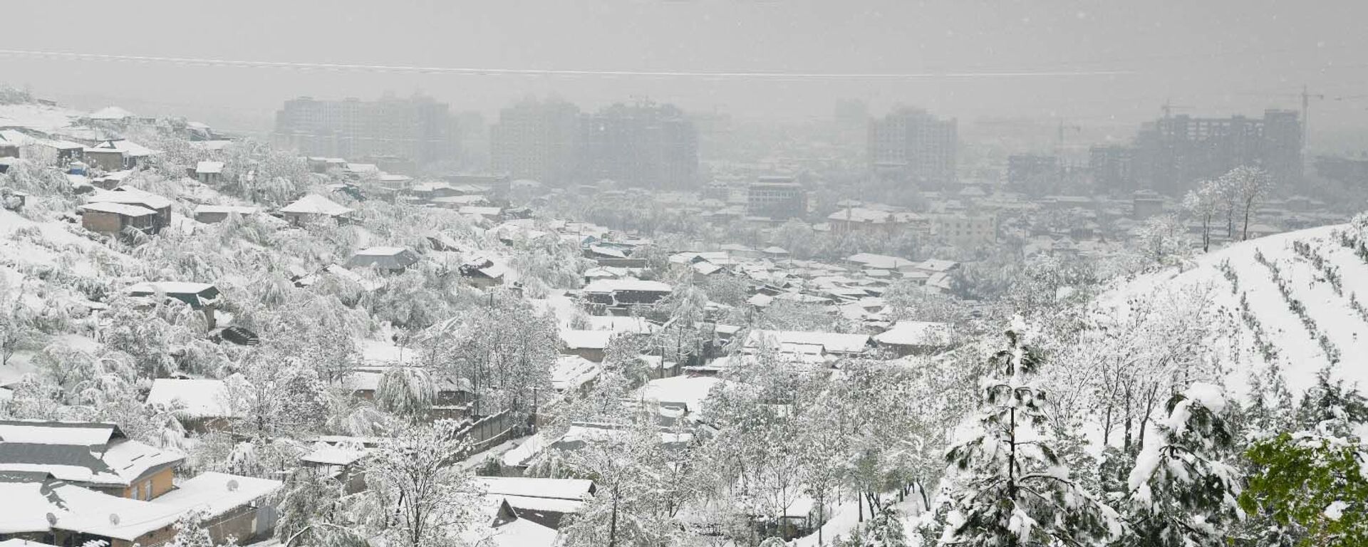 Снегопад в Душанбе - Sputnik Тоҷикистон, 1920, 16.11.2021