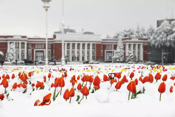 Снегопад в Душанбе 