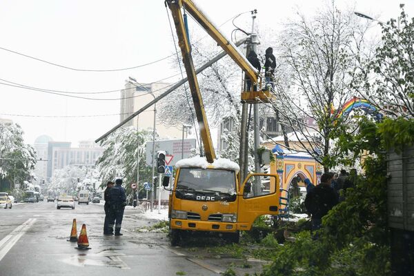 Ремонт электросети после снегопада в Душанбе - Sputnik Таджикистан
