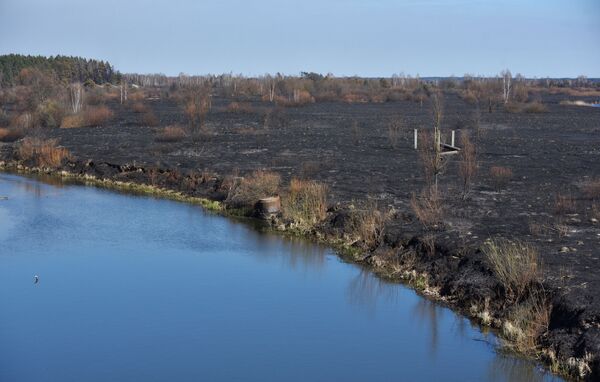 Выжженная в результате пожара территория в Чернобыльской зоне  - Sputnik Таджикистан