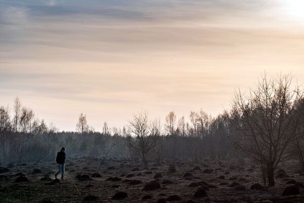 Мужчина идет по сгоревшему лесу в зоне отчуждения Чернобыльской АЭС - Sputnik Таджикистан