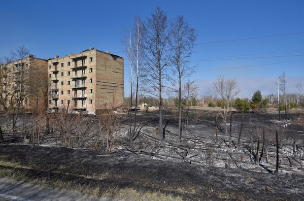 Последствия пожара в зоне отчуждения Чернобыльской АЭС - Sputnik Таджикистан